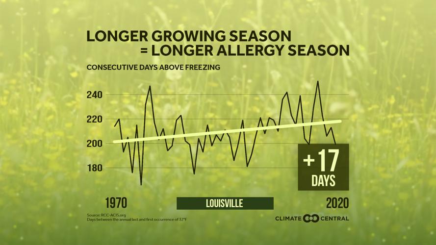 2021Pollen_Local_louisville_en_title_lg.jpeg