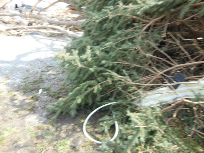 HENRYVILLE TORNADO DAMAGE MARCH 2012 (10).JPG