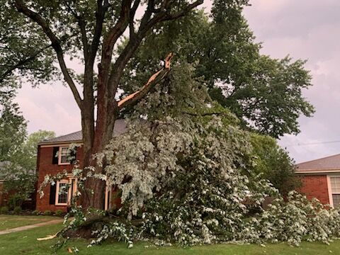 STORM - CROSSGATE - 6-25-2023 (7).jpg