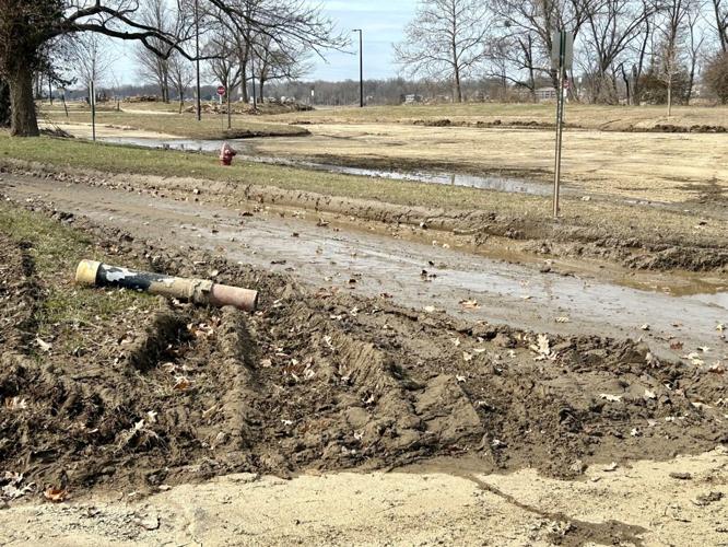 Cox Park clean up - March 4, 2025.jpg