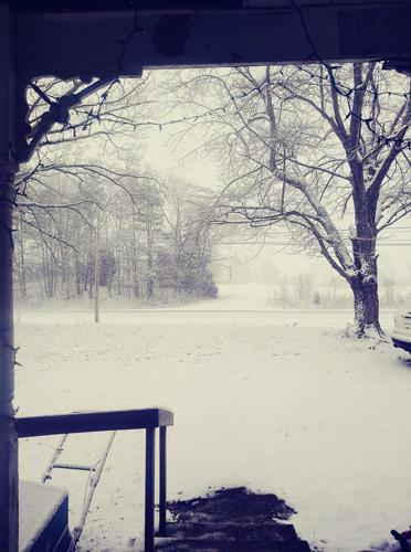 Snow in New Salisbury-IN-1-27-21.jpg