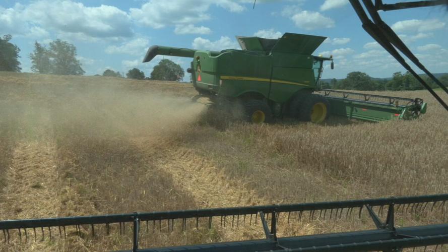 KENTUCKY - RYE - BOURBON - AFFINITY FARM  7-11-2023 (6).jpeg