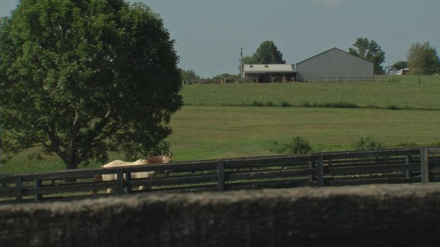 VETERAN EQUINE THERAPY 10VO.transfer_frame_496.jpg