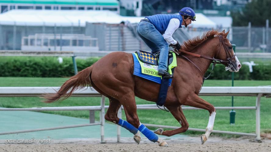 Training - Improbable