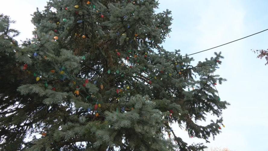 Light up Louisville preps 11-16-21 (3).jpeg