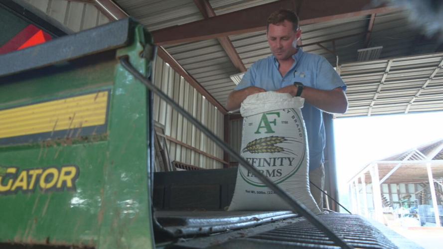 KENTUCKY - RYE - BOURBON - AFFINITY FARM  7-11-2023 (3).jpeg