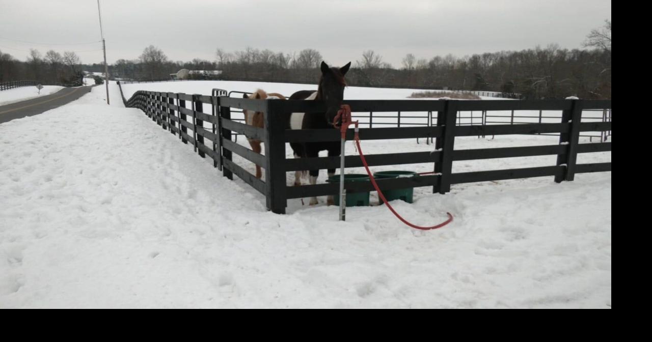 Southern Indiana firefighters rescue a horse from frozen pond