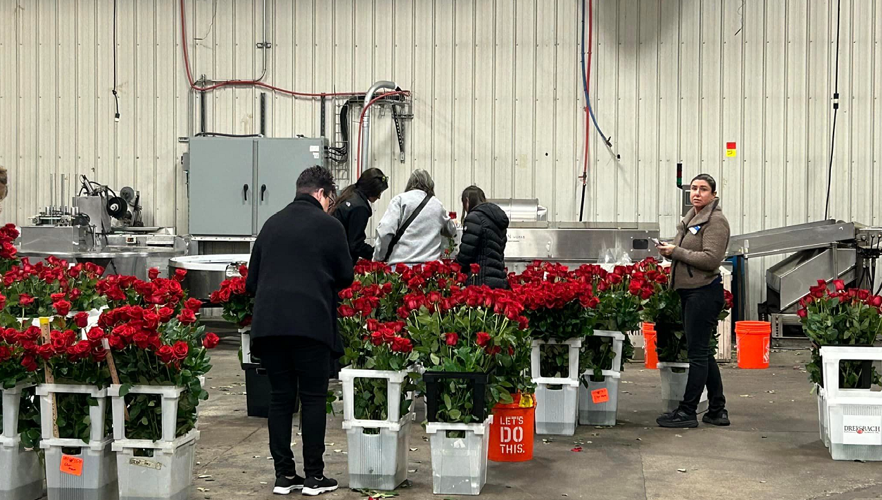 Kroger workers prepare Derby 150 Garland of Roses
