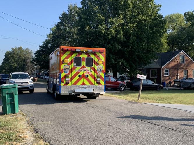 Scene where a child was fatally attacked by dogs in the 4800 block of Brenda Drive, on Oct. 1, 2019
