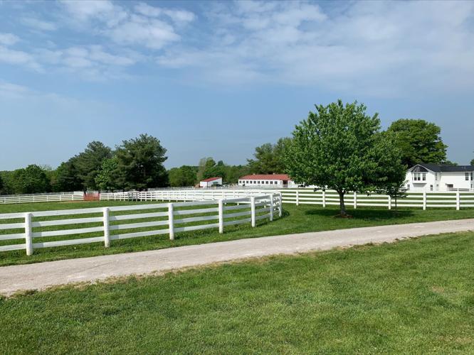 Stables at Mercury Equine, the farm where Derby 148 winner Rich Strike is trained