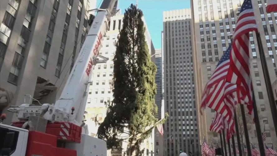 Rockefeller Christmas Tree