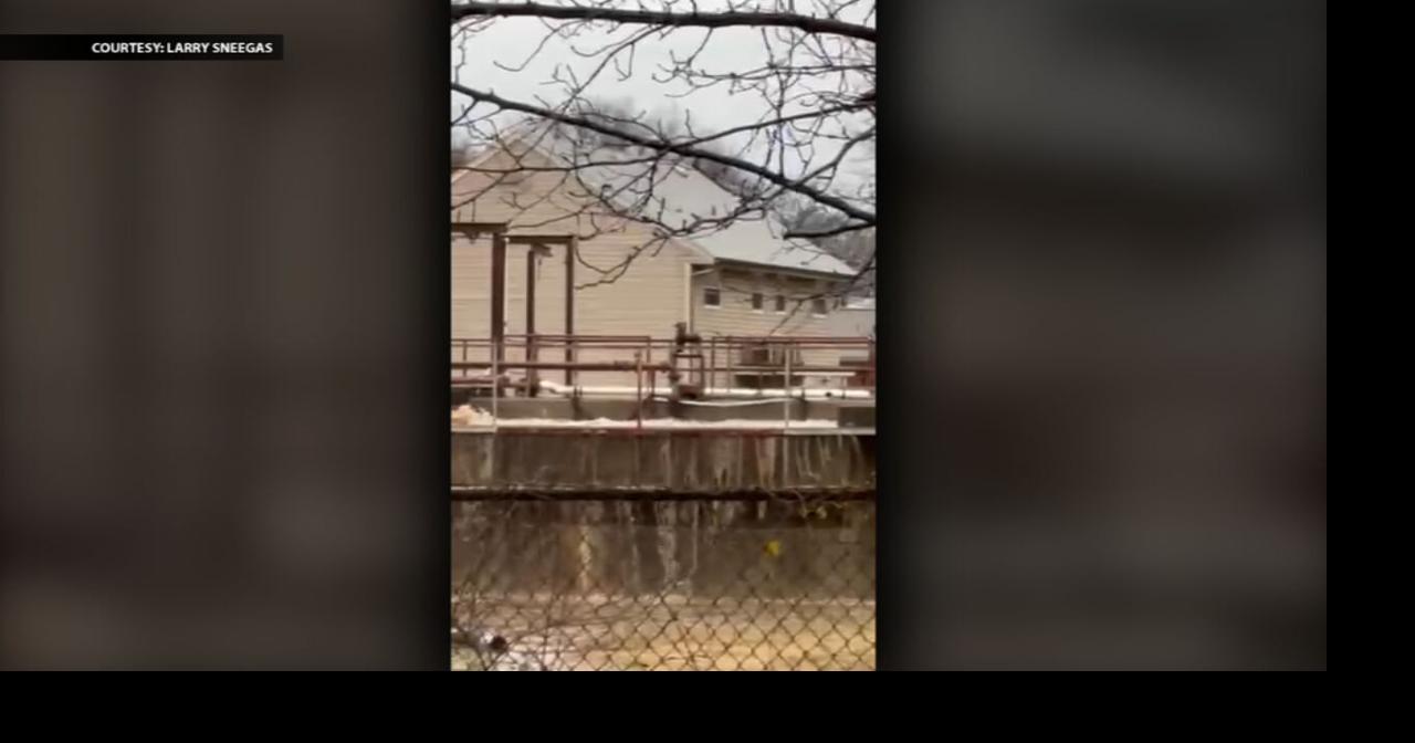Wastewater treatment plant overflowing in Hillview, video from Larry Sneegas