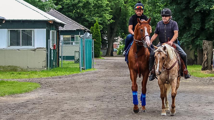 Justify pre-Belmont