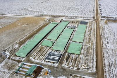 Keystone XL pipeline-AP (3).jpeg