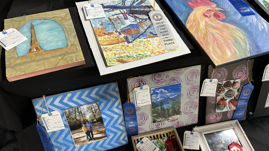 Shelby County Fair Winners