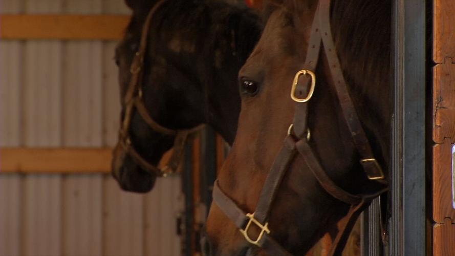 Old Friends Farm (thoroughbred retirement farm)