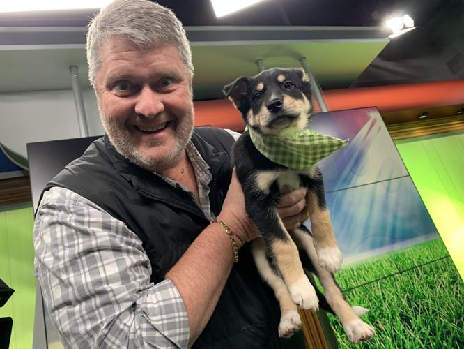 WDRB BARK BOWL 2023   (10).jpg