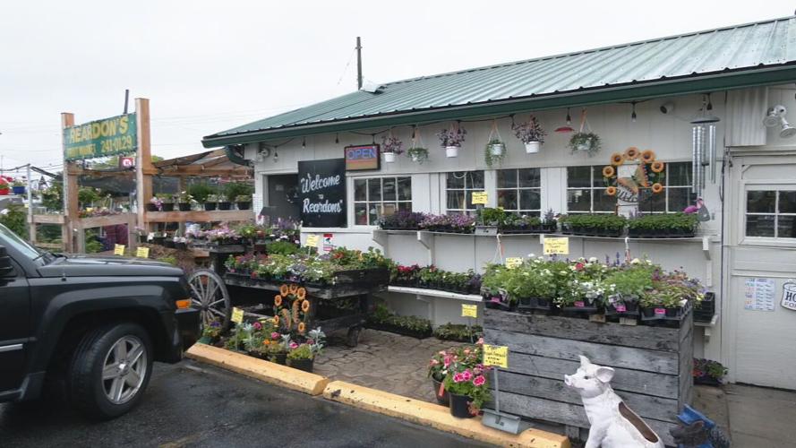 Reardon's Fruit Market