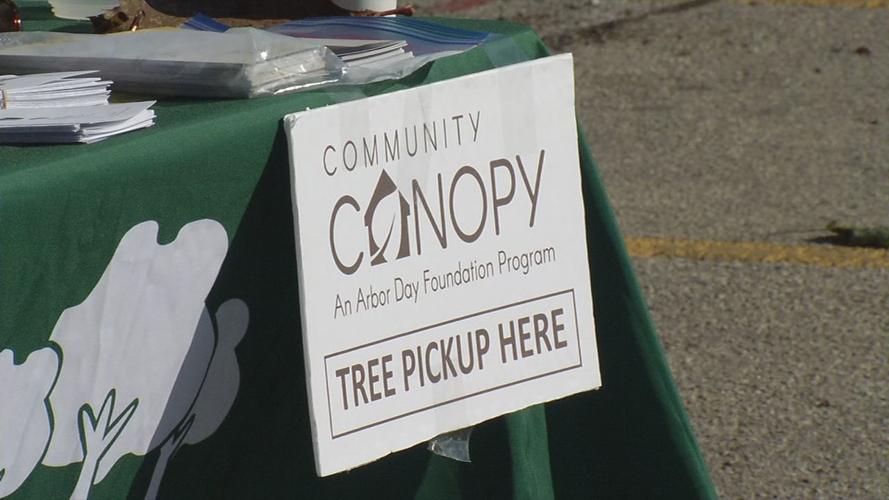 TREE GIVEAWAY 11-9-19.jpg