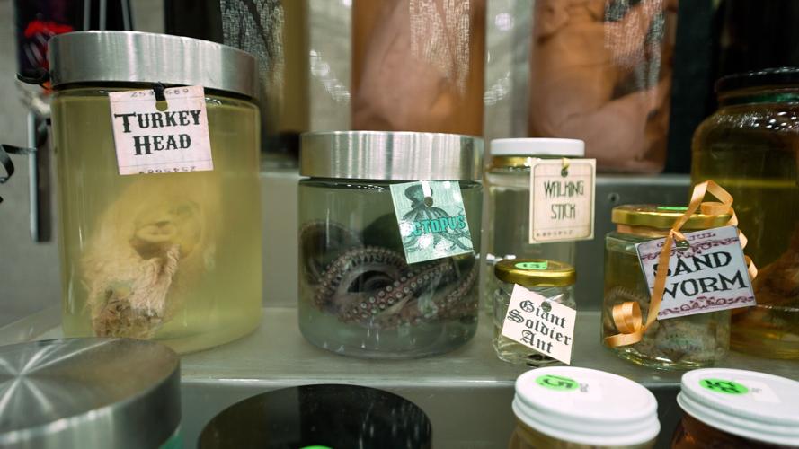 Oddities and Curiosities Expo 8.jpg