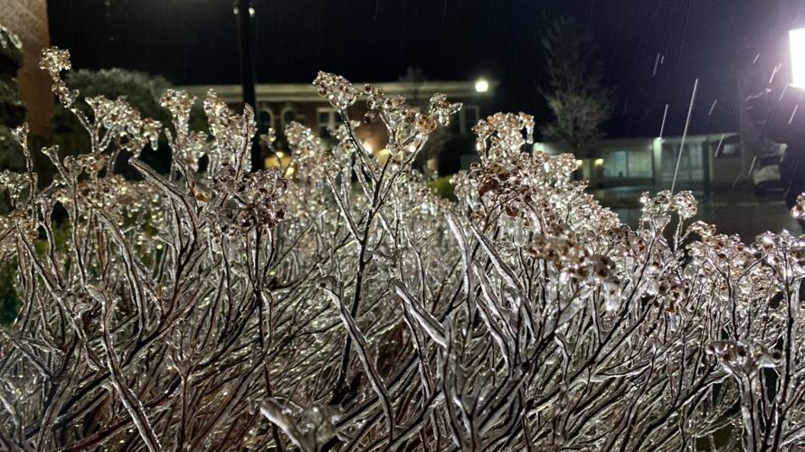 Freezing rain-Bardstown-KY-2-10-21 (3).jpg