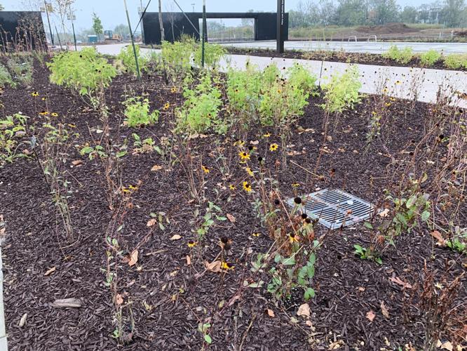 BOTANICAL GARDENS - KEITH KAISER  10-9-19   (2).jpeg