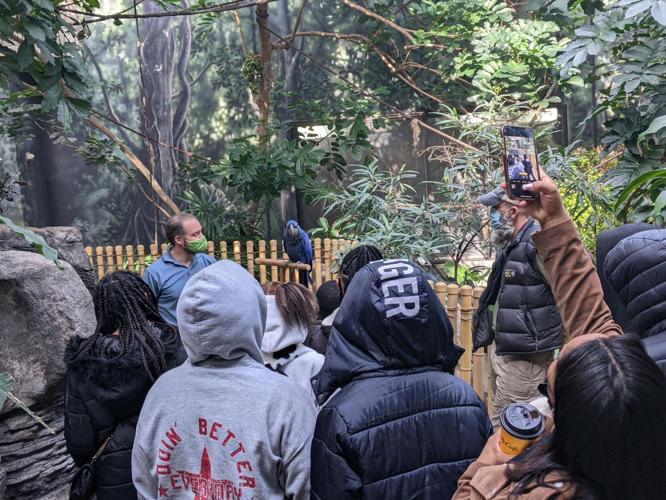 Future Heales first session