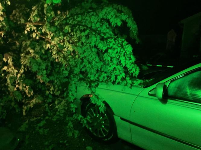 Tree on car in Valley Station