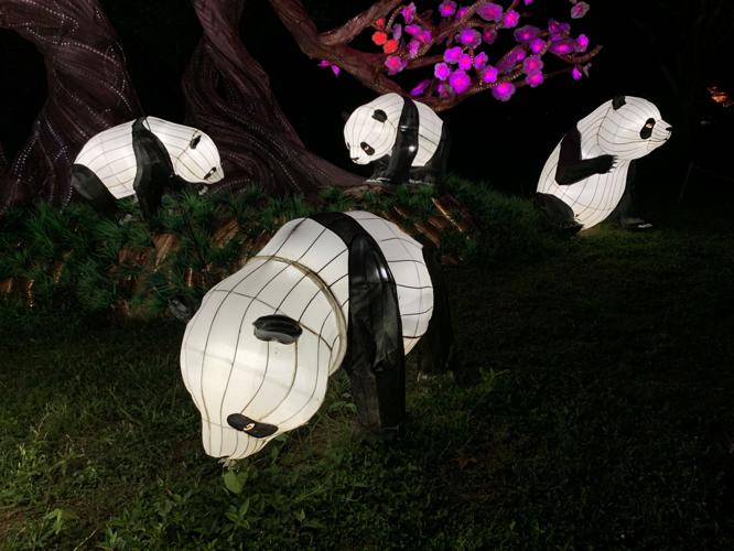 ASIAN LANTERN FESTIVAL - LOUISVILLE ZOO - KEITH KAISER - 7-15-2020  (9).JPG