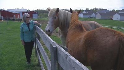 Charlestown Pike farms
