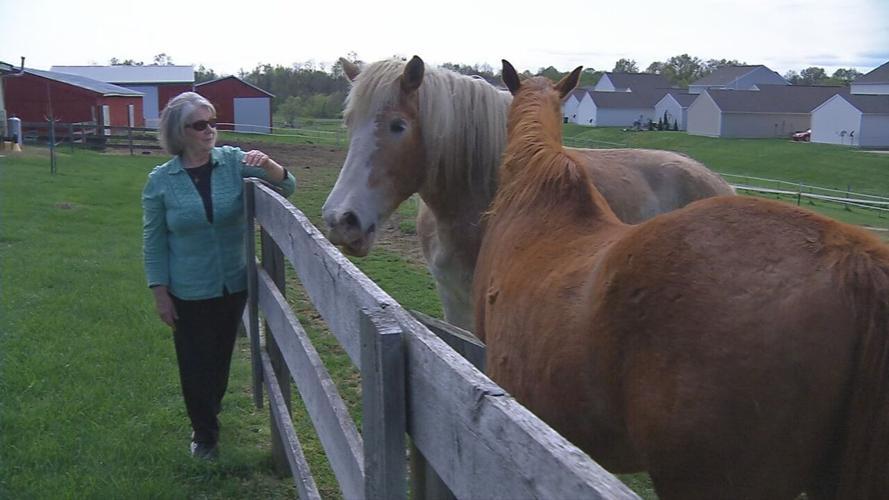 Charlestown Pike farms