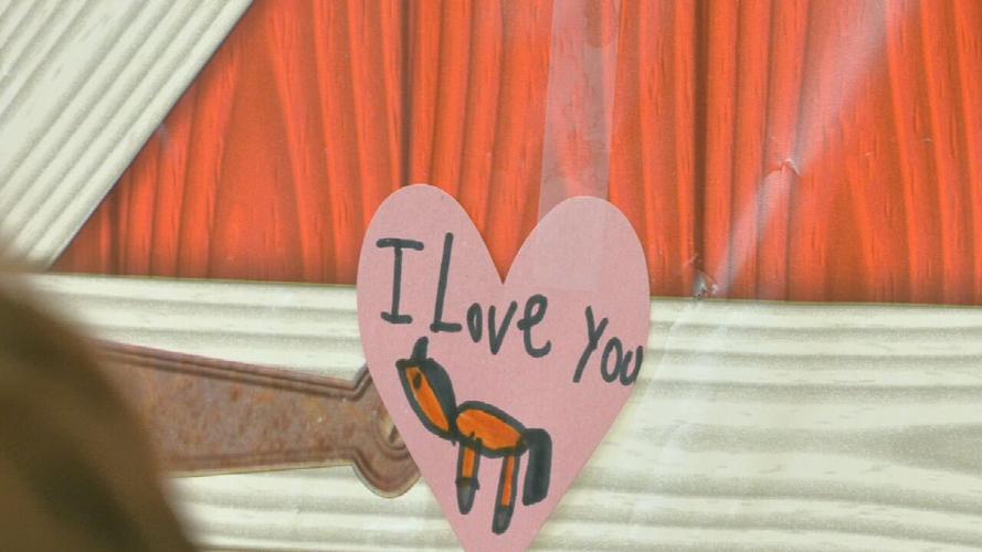 Hank the Horse