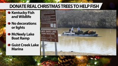 Ky. Fish and Wildlife accepting live trees for fish habitats