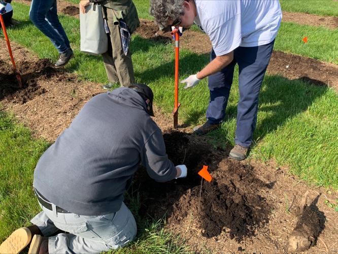 OLD FORESTER TREE PLANTING - 4-18-2023 (2).jpeg