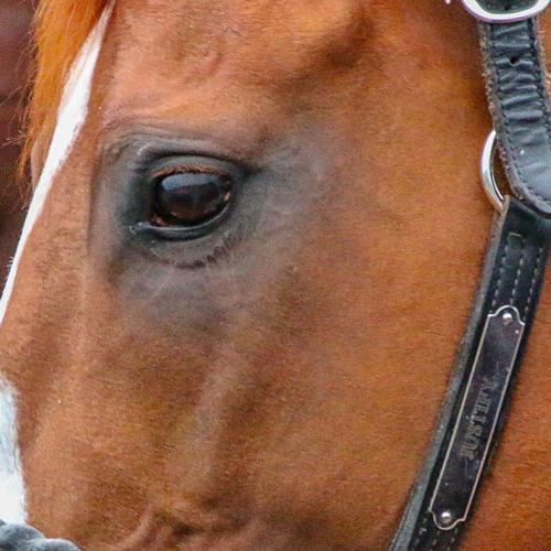 Justify close-up