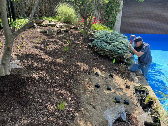 WDRB employees gather to plant and mulch the WDRB Flutter Farm