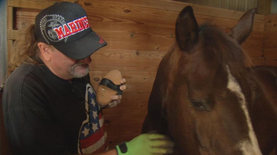 VETERAN EQUINE THERAPY 10VO.transfer_frame_614.jpg