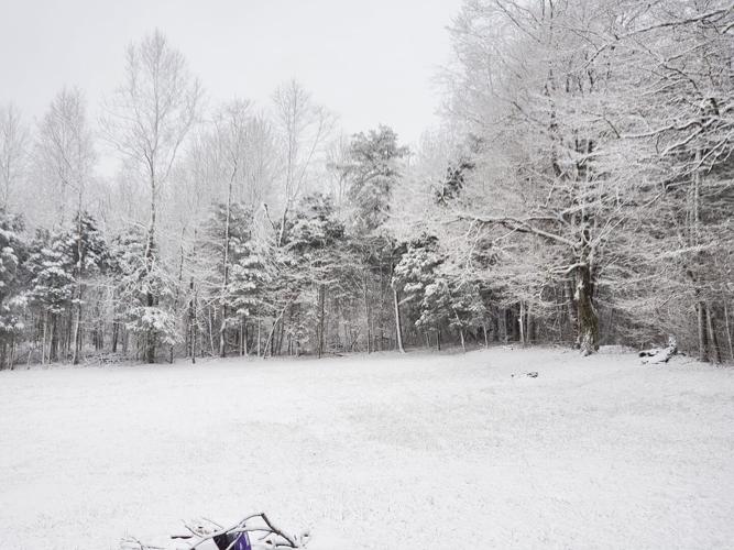 Snow in Corydon-IN-1-27-21.jpg