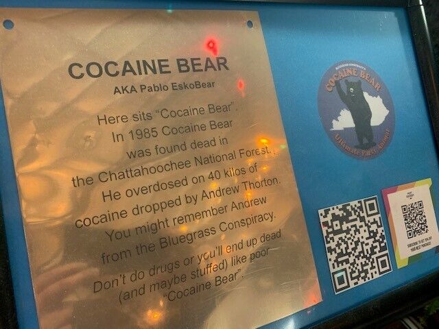 Cocaine Bear exhibit at KY for KY store in Lexington