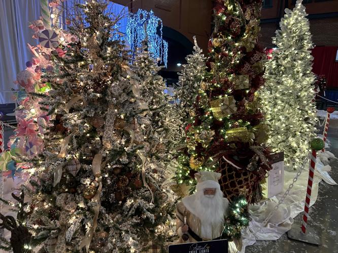 keith fest of trees and lights 4.jpg
