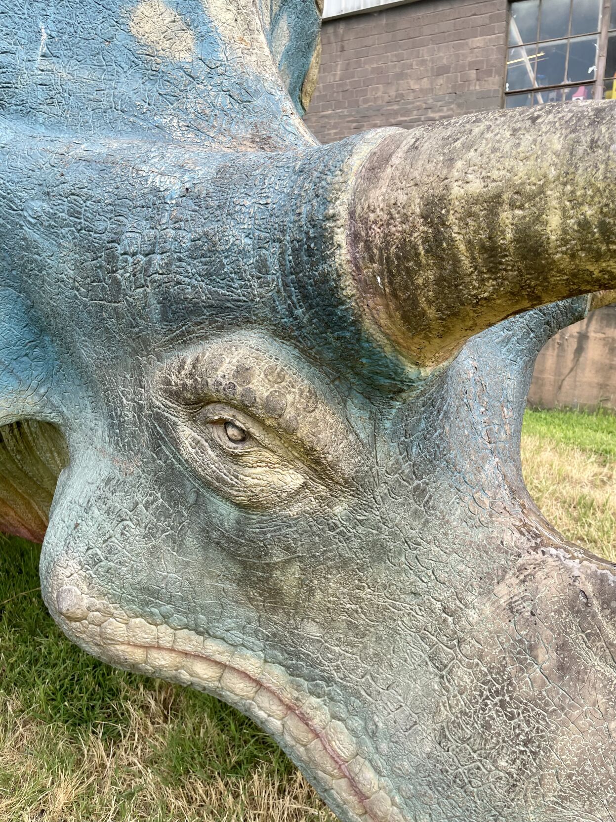 World's Fair Triceratops