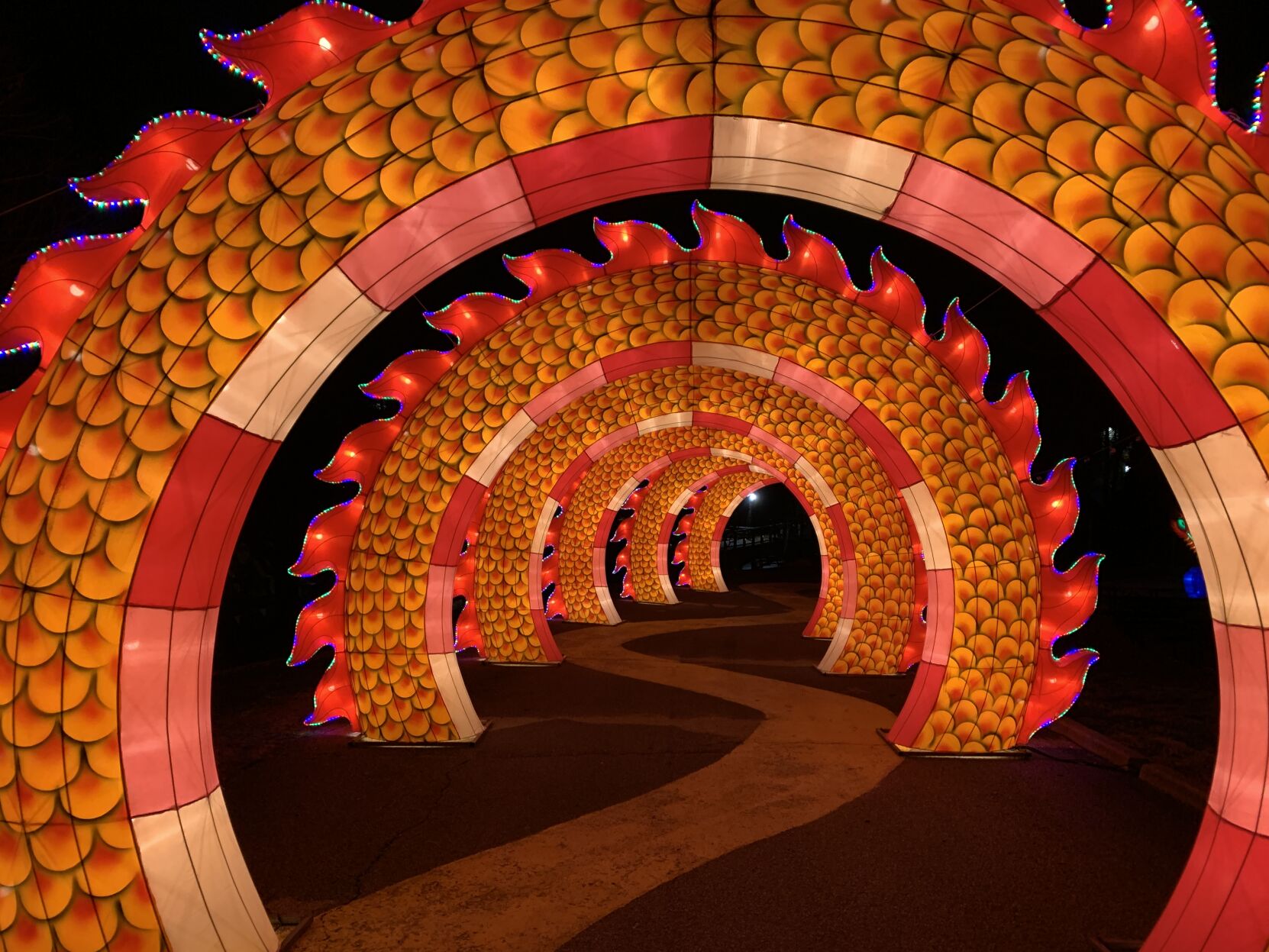 IMAGES | Wild Lights at the Louisville Zoo showcases the art of
