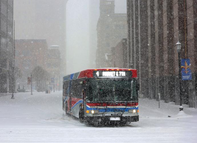 TARC bus drivers on 5th Street - Jan. 5, 2025.JPG