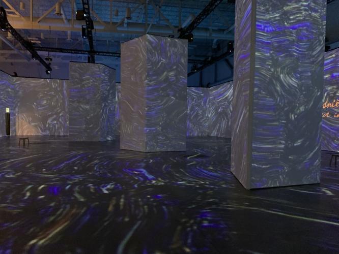 VAN GOGH EXHIBIT - KICC - 7-6-2022  (9).JPG