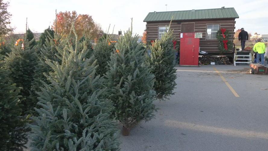 Martin's Christmas Trees 11-25-21