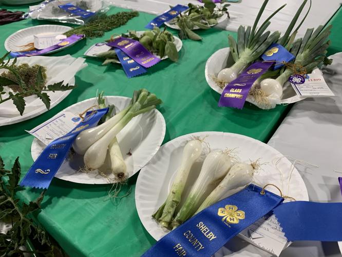 Shelby County Fair (17).JPG