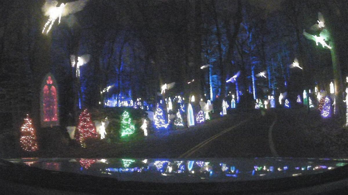 Winter Woods Spectacular Brings Lights Trees And Decorations To
