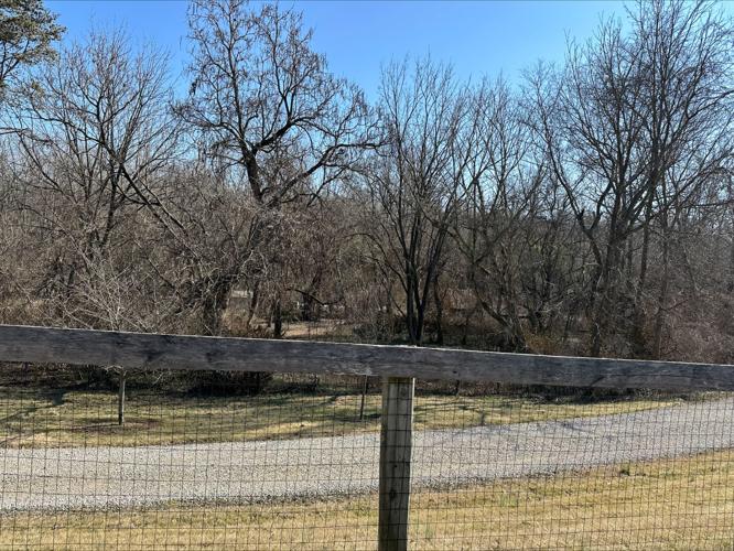 Louisville Zoo Expansion Plan