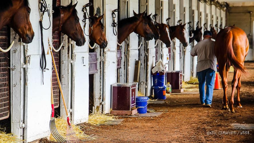 Justify draws shed row attention
