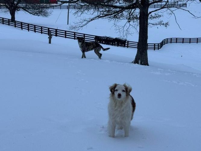 CORYDON SNOW 01-25-26 BRITTNEY HOBT.jpg